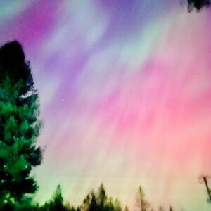 Meet your Posher, Tavia